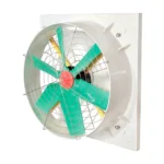 fan-3