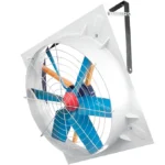 fan-4